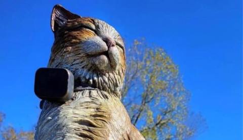 Here’s The Story Behind The Pirate Cat Memorial In Indiana