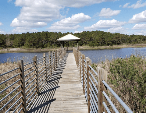 Huntington Beach State Park Trail In South Carolina Leads To One Of The Most Scenic Views In The State