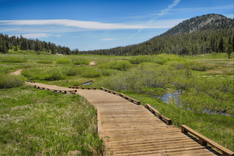 The One Loop Trail In Nevada That's Perfect For A Short Day Hike, No Matter What Time Of Year