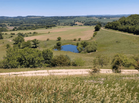 The View From This Little-Known Overlook In Illinois Is Almost Too Beautiful For Words