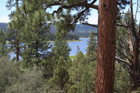 The One Loop Trail In Southern California That's Perfect For A Short Day Hike, No Matter What Time Of Year