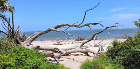 The Most Beautiful Historic Preserve In America Is Right Here In Florida... And It Isn't The Everglades