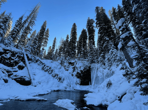 The One Waterfall Trail In Montana That's Perfect For A Short Day Hike, No Matter What Time Of Year