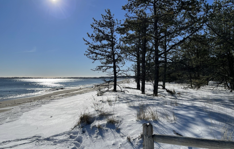 These 6 Beautiful Beaches In Maine Are Some Of The Most Peaceful Places To Explore During The Off-Season