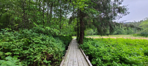 Take A Meandering Boardwalk Path To An Alaska Overlook That’s Covered By A Beautiful Wooden Shelter