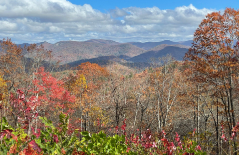 The View From This Little-Known Overlook In Georgia Is Almost Too Beautiful For Words