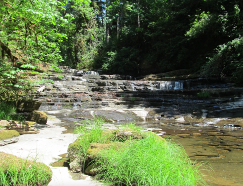 This Oregon Waterfall Is So Hidden, Almost Nobody Has Seen It In Person