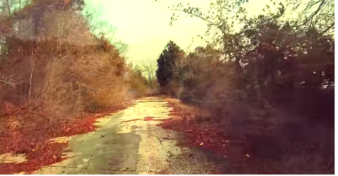 The Remnants Of The Abandoned Kings Highway In South Carolina Are Hauntingly Beautiful