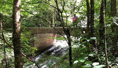 The Wildcat Falls Trail In North Carolina Leads You Straight To An Abandoned Bridge That Crosses The Waterfall