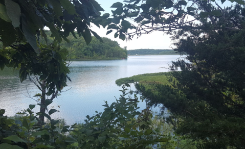 The One Loop Trail In Kansas That's Perfect For A Short Day Hike, No Matter What Time Of Year