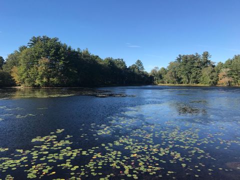 The One Loop Trail In Rhode Island That's Perfect For A Short Day Hike, No Matter What Time Of Year