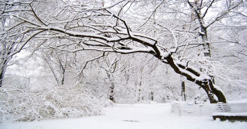 In 1961, New York Plunged Into An Arctic Freeze That Makes This Year's Winter Look Downright Mild