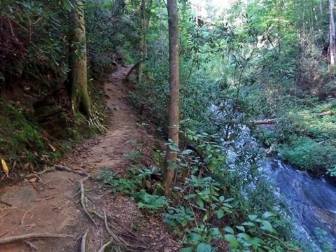 The Easy 2.3-Mile Twin Falls Upper Trail Will Lead You Through The South Carolina Forest