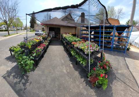 The Best Pie In The World Is Located At This Wisconsin Farm Market