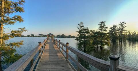 The View From This Little-Known Overlook In Mississippi Is Almost Too Beautiful For Words