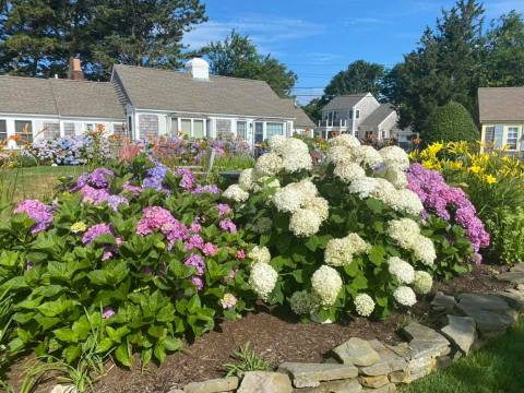 The Hidden Seaside Cottages In Massachusetts Is A Beach Getaway With The Utmost Charm