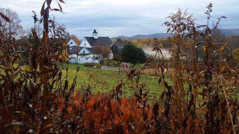 4 New Hampshire Nature Centers That Make Excellent Family Day Trip Destinations