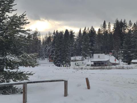 This Tiny Cafe And Store In Oregon Is Hidden In The Forest And Has Everything Your Heart Desires