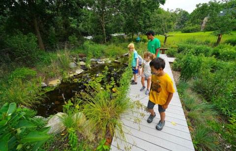 5 Rhode Island Nature Centers That Make Excellent Family Day Trip Destinations