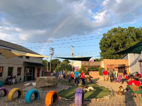 Order A Burger And A Pint While You Play With Puppies At This Only-In-Arkansas Tap House