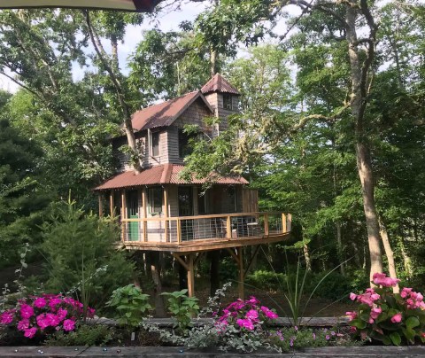 These 3 Treehouses in Massachusetts Will Give You An Unforgettable Experience