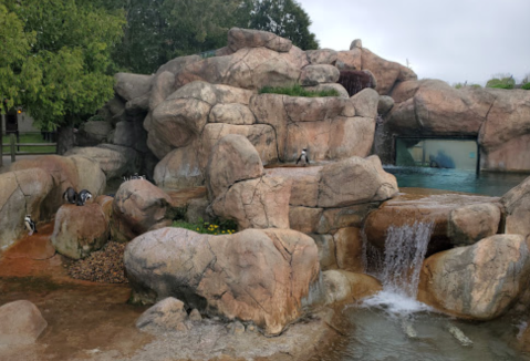 This Zoo In Wisconsin Has Animals That You May Have Never Seen In Person Before