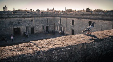 This Abandoned Florida Military Fortress Is Thought To Be One Of The Most Haunted Places On Earth