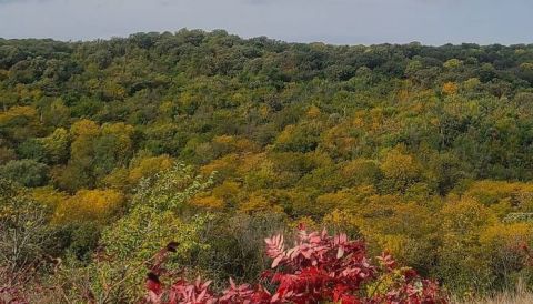 The View From This Little-Known Overlook In Iowa Is Almost Too Beautiful For Words