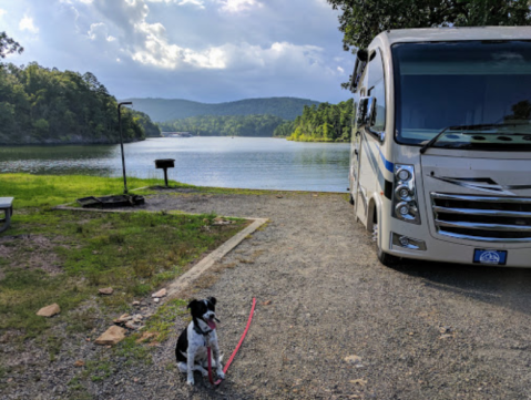 There's A Lake Hiding In An Arkansas Forest Where You Can Camp Year-Round