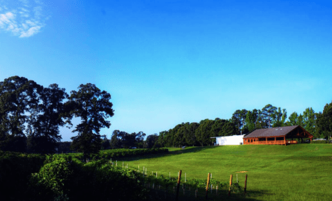 You Can Camp Overnight At This Remote Winery In Louisiana