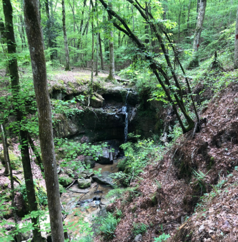 This Louisiana Waterfall Is So Hidden, Almost Nobody Has Seen It In Person