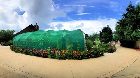 Play With Butterflies At The Butterfly Sculpture Garden, Then Explore The Columbian Park Zoo In Indiana