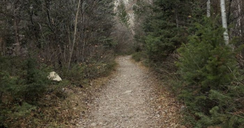 The Creepiest Hike In Utah Takes You Through A Haunted Rock Canyon