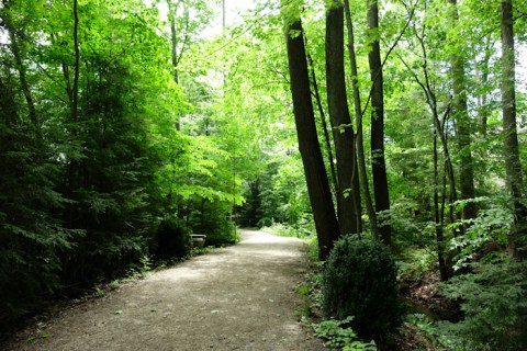 The One Loop Trail In West Virginia That's Perfect For A Short Day Hike, No Matter What Time Of Year