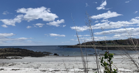 Forest And Sea Combine To Make The Timber Point Trail One Of The Most Beautiful Hikes In Maine