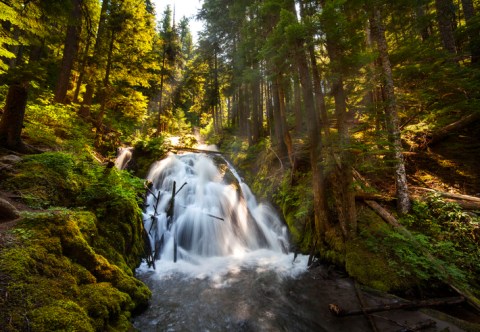 Hike To A Waterfall Then Dine Al Fresco During This Day Trip Adventure To Mt. Hood Village In Oregon