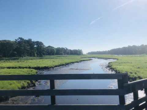 3 Scenic Hiking Trails Surround The Small Town Of Lewes, Delaware