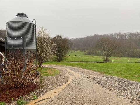 You'll Have Loads Of Fun At This Dairy Farm In Near Nashville With Incredible Cheese