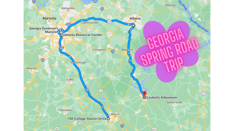 The 4.5-Hour Trip Around The Peach State's Prettiest Gardens Is A Glorious Spring Adventure In Georgia