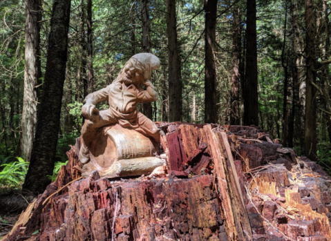 There Are Giant Gnomes Hiding On The Enchanted Forest Trail In Washington Just Like Something Out Of A Storybook