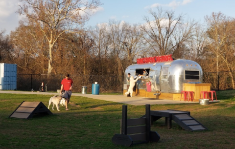 Order A Pint While You Play With Puppies At This Georgia Dog Park