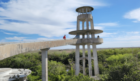 Take A Hike To A Florida Overlook That’s Like The Miniature Space Needle