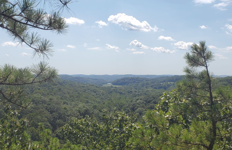 Take A Meandering Path To An Ohio Overlook That’s Like Something From A Painting