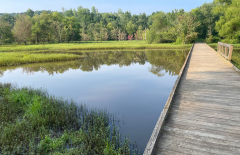 There's An Abandoned Hiking Trail In Georgia That Was Never Completed And It's Eerily Fascinating