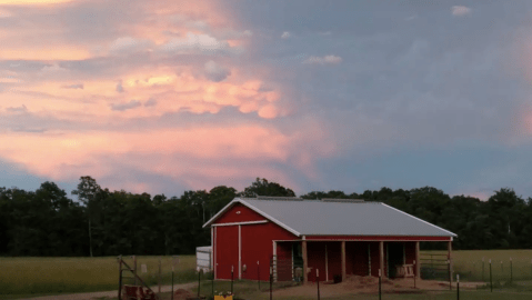 There's An AirBnb On This Alpaca Farm In Minnesota And You Simply Have To Visit