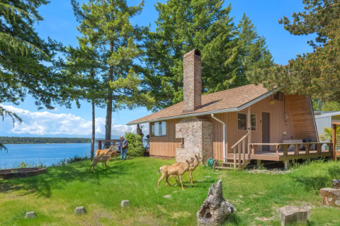 The Hidden Secret Island Beach Cabin In Washington Is A Beach Getaway With The Utmost Charm