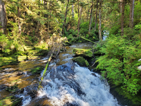 This Alaska Waterfall Is So Hidden, Almost Nobody Has Seen It In Person