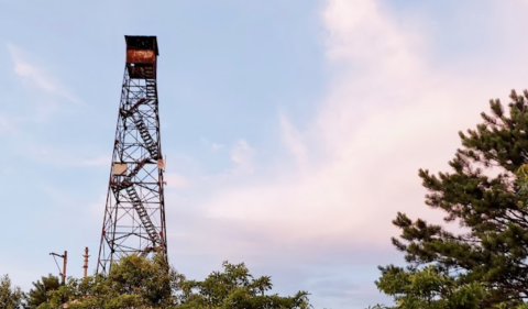 This Meandering Trail Leads To A Fire Tower You Can Hike To For Stunning Views Of Virginia