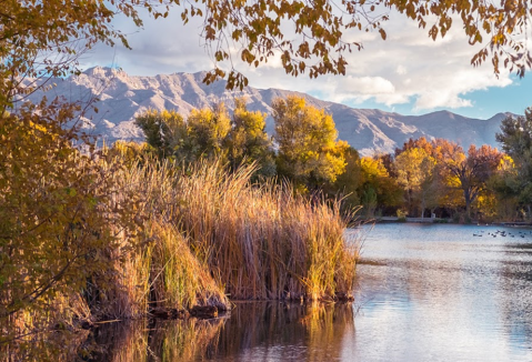 Floyd Lamb Park Is A Little-Known Park In Nevada That Is Perfect For Your Next Outing