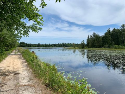 There's A Lake Hiding In An New Jersey Forest Where You Can Camp Year-Round